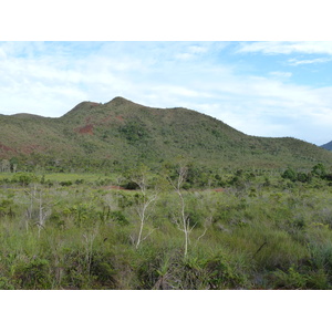 照片 新喀里多尼亚(New Caledonia) 蓝河公园(Parc de la Riviere Bleue) 2010-05 32