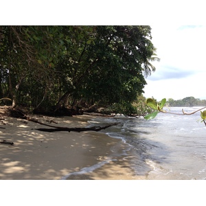 照片 哥斯达黎加(Costa Rica) 卡维塔(Cahuita) 2015-03 117