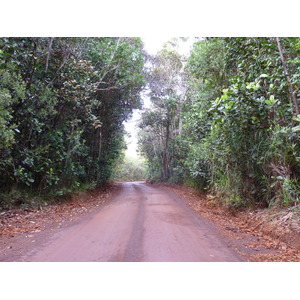 照片 新喀里多尼亚(New Caledonia) 蓝河公园(Parc de la Riviere Bleue) 2010-05 59