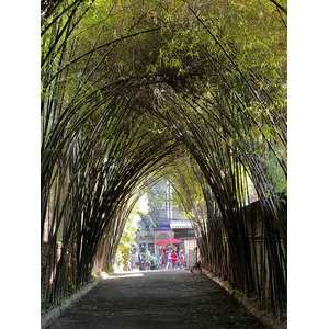 照片 泰国(Thailand) 清迈(Chiang Mai) 2024-01 96