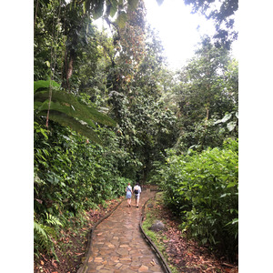 照片 瓜德罗普(Guadeloupe) 螯虾瀑布(Cascade aux ecrevisses) 2021-02 12