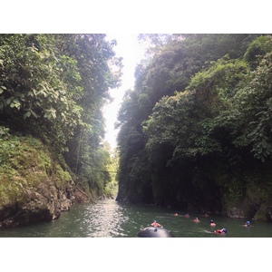 照片 哥斯达黎加(Costa Rica) 帕夸雷河(Pacuare River) 2015-03 208