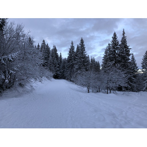照片 法国(France) 拉克吕萨(La Clusaz) 2017-12 293