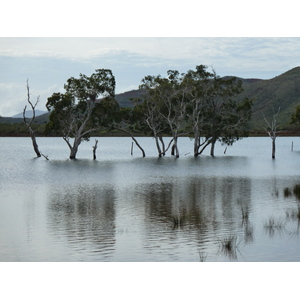 照片 新喀里多尼亚(New Caledonia) 蓝河公园(Parc de la Riviere Bleue) 2010-05 45
