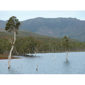 照片 新喀里多尼亚(New Caledonia) 蓝河公园(Parc de la Riviere Bleue) 2010-05 26