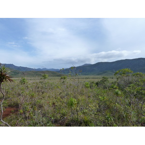 照片 新喀里多尼亚(New Caledonia) 蓝河公园(Parc de la Riviere Bleue) 2010-05 120
