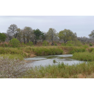 照片 南非(South Africa) 克鲁格国家公园(Kruger National Park) 萨布尔河(Sable River) 2008-09 17