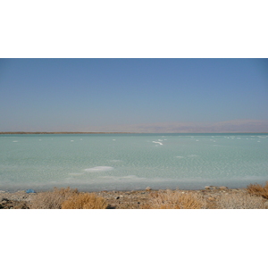 照片 以色列(Israel) 埃因博克(Boqeq) 2007-06 156