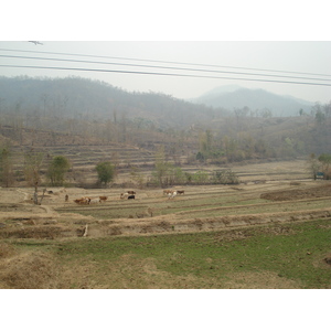 照片 泰国(Thailand) 清迈至拜县公路(Chiang Mai to Pai road) 2007-02 79