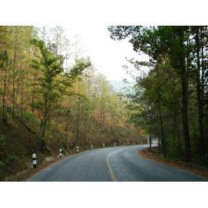 照片 泰国(Thailand) 清迈至拜县公路(Chiang Mai to Pai road) 2007-02 179