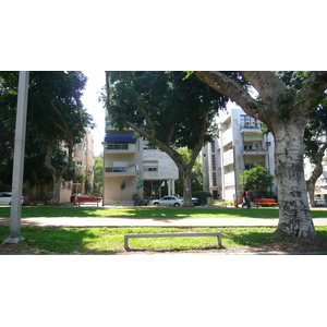 照片 以色列(Israel) 特拉维夫(Tel Aviv) 罗斯柴尔德大道(Rothschild Street) 2007-06 30