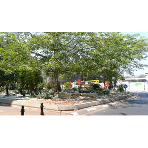 照片 以色列(Israel) 特拉维夫(Tel Aviv) 罗斯柴尔德大道(Rothschild Street) 2007-06 23