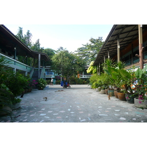 照片 泰国(Thailand) 沙美岛(Ko Samet) 赛乔海滩(Had Sai Kaew) 2008-12 12