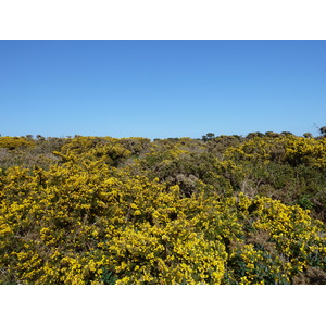 照片 泽西岛(Jersey) 2010-04 34