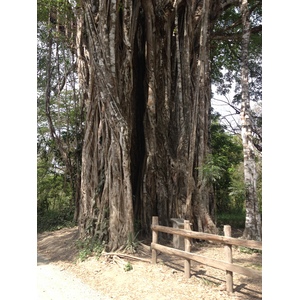 照片 哥斯达黎加(Costa Rica) 2015-03 42