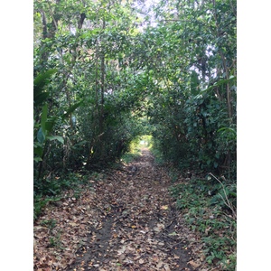 照片 哥斯达黎加(Costa Rica) 乌维塔(Uvita) 2015-03 15