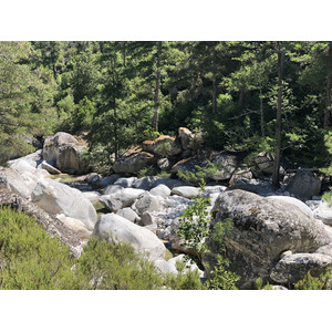 照片 法国(France) 科西嘉岛(Corsica) 雷斯托尼卡山谷(La Restonica) 2020-07 138