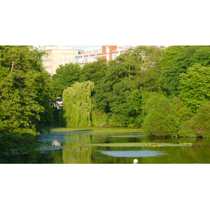 照片 德国(Germany) 杜塞尔多夫(Dusseldorf) 2007-05 97