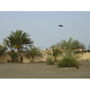 照片 阿曼(Oman) 苏哈尔(Sohar) 2005-03 33