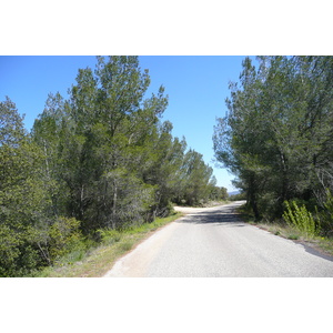 照片 法国(France) 普罗旺斯(Provence) 博凯尔至加尔桥公路(Beaucaire to pont du gard road) 2008-04 19