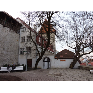 照片 爱沙尼亚(Estonia) 塔林(Tallinn) 塔林老城(Old Tallinn) 2009-04 28