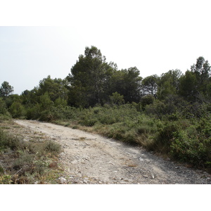 照片 法国(France) 索米耶尔(Sommieres) 2006-06 97
