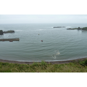 照片 英国(United Kingdom) 苏格兰(Scotland) 卡特林湾(Catterline Bay) 2011-07 2