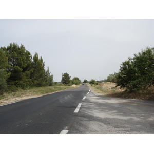 照片 法国(France) 索米耶尔(Sommieres) 2006-06 90