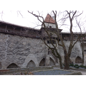 照片 爱沙尼亚(Estonia) 塔林(Tallinn) 塔林老城(Old Tallinn) 2009-04 29