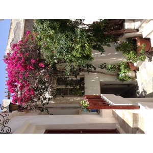 照片 希腊(Greece) 纳克索斯岛(Naxos) 2014-07 98