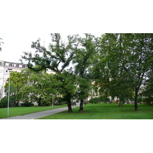 照片 捷克(Czech Republic) 布拉格(Prague) 奥普莱塔洛瓦街(Opletalova) 2007-07 29