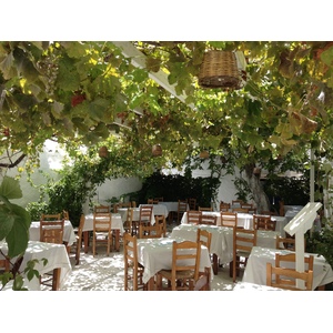 照片 希腊(Greece) 纳克索斯岛(Naxos) 2014-07 83