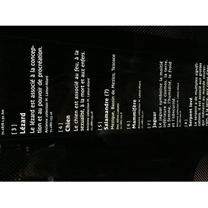 照片 法国(France) 巴黎(Paris) 布朗利河岸博物馆(Quai Branly Museum) 2015-09 15