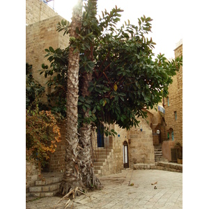 照片 以色列(Israel) 雅法(Jaffa) 2006-12 209