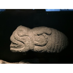 照片 法国(France) 巴黎(Paris) 布朗利河岸博物馆(Quai Branly Museum) 2015-09 0