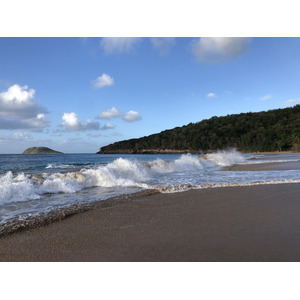 照片 瓜德罗普(Guadeloupe) 珍珠海滩(La Perle Beach) 2021-02 50