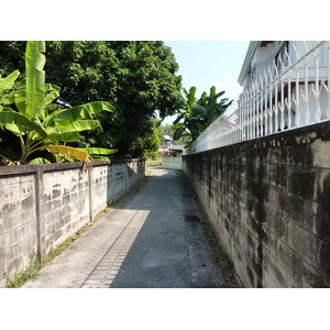照片 泰国(Thailand) 清迈(Chiang Mai) 三兰路(Sam Lan Road) 2009-12 9