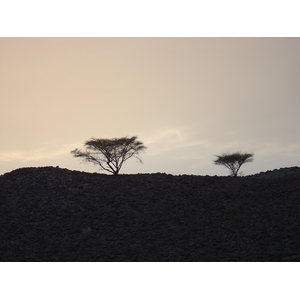 照片 阿曼(Oman) 布赖米至苏哈尔公路(Buraimi to Sohar road) 2005-03 0