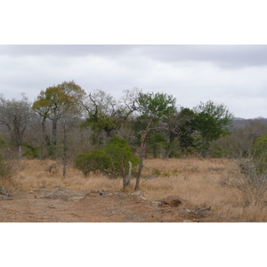 照片 南非(South Africa) 克鲁格国家公园(Kruger National Park) 鳄鱼河公路(Crocodile River road) 2008-09 33