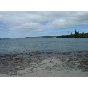 照片 新喀里多尼亚(New Caledonia) 利富岛(Lifou) 海龟湾(Baie des tortues) 2010-05 34