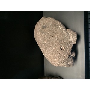 照片 法国(France) 巴黎(Paris) 布朗利河岸博物馆(Quai Branly Museum) 2015-09 51