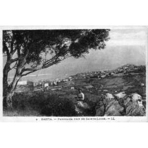 照片 法国(France) 科西嘉岛(Corsica) 老明信片(Old Postcards) 巴斯蒂亚(Bastia) 1900-01 100