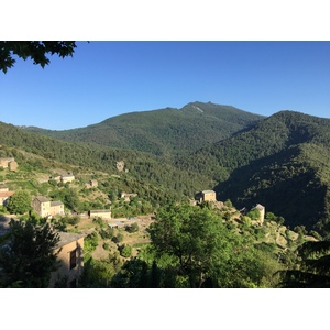 照片 法国(France) 科西嘉岛(Corsica) 卡斯塔尼恰(Castagniccia) 2015-05 1
