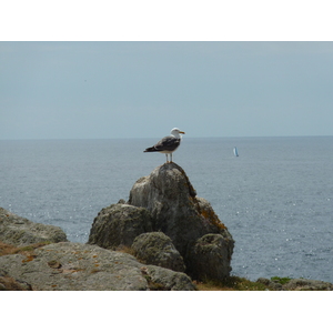 照片 法国(France) 伊厄岛(Ile d'yeu) 2009-07 89