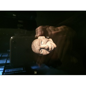 照片 法国(France) 巴黎(Paris) 布朗利河岸博物馆(Quai Branly Museum) 2015-09 24