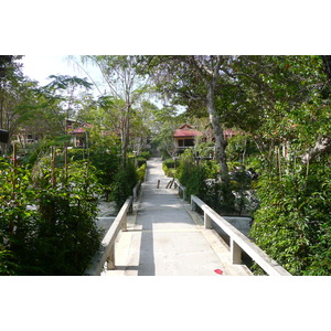 照片 泰国(Thailand) 沙美岛(Ko Samet) 乔湾(Ao Cho) 2009-01 5