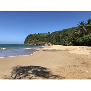 照片 瓜德罗普(Guadeloupe) 皇家堡(Fort Royal) 2021-02 22