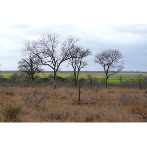照片 南非(South Africa) 克鲁格国家公园(Kruger National Park) 鳄鱼河公路(Crocodile River road) 2008-09 42