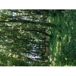 照片 法国(France) 勒克鲁瓦西克(Le Croisic) 2013-06 4