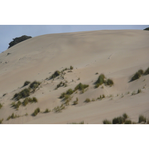 照片 南非(South Africa) 赫曼努斯至克尼斯纳公路(Harmanus to Knysna road) 2008-09 87